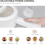 ELECTRIC HOT POT